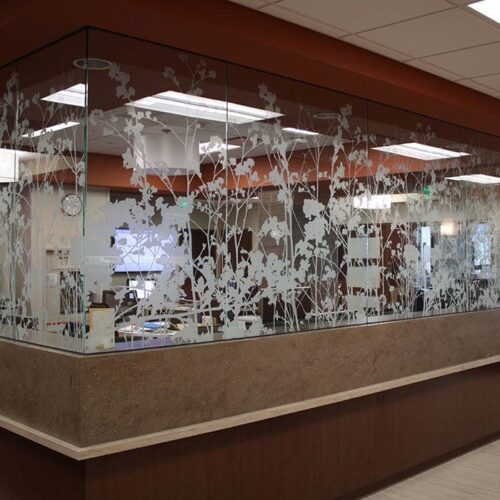 Digitally Printed Clear Glass Wall Partition in Building | Colored Glass Gallery | Residential Products | Anchor-Ventana Glass | DecoTherm